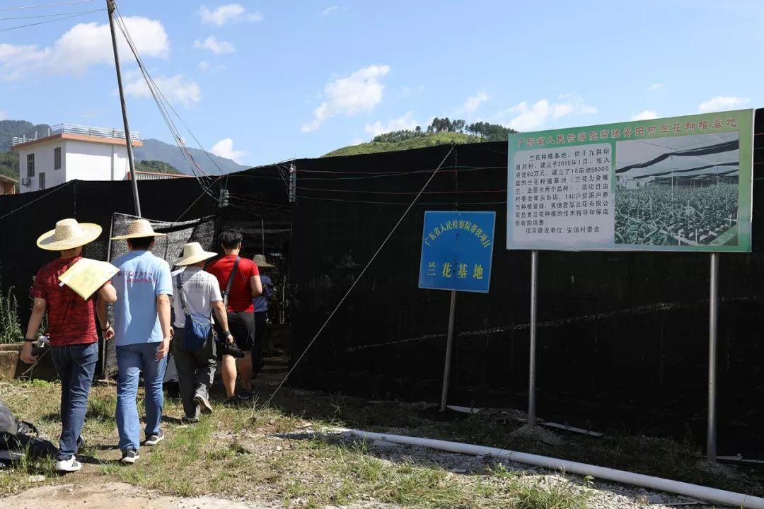 致富经养土猪视频_致富经养土猪视频播放_致富经养猪视频大全