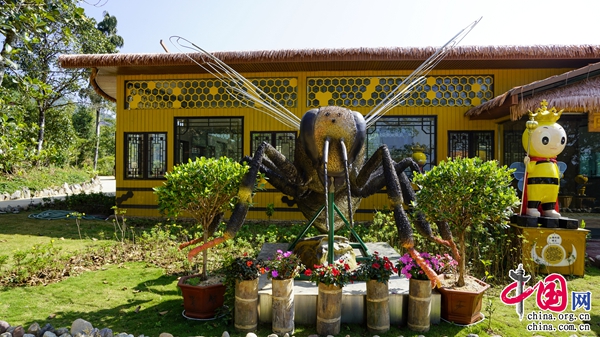 种植致富宝典_地黄种植致富_沧源种植致富