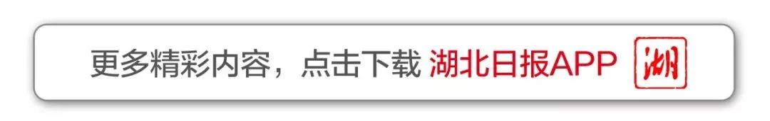 致富经兔子养殖项目_致富养殖兔子文案_养兔致富经