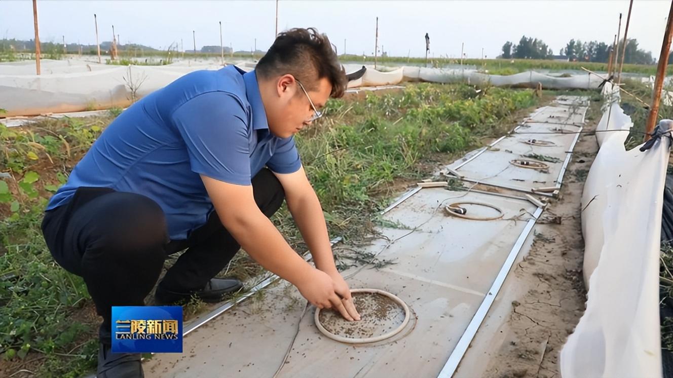 央视致富经_央视致富节目_央视致富经蟾衣