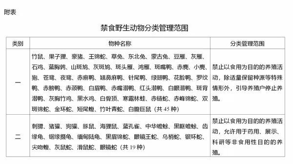 豚鼠养殖视频科技苑_视频致富养殖豚鼠是真的吗_豚鼠养殖致富视频