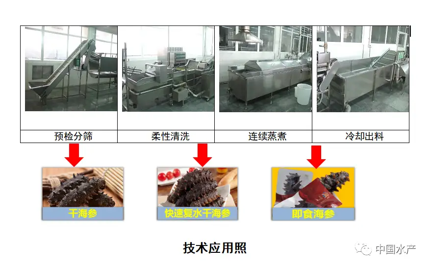 海带养殖场图片_海带养殖赚钱吗_海带标准化养殖技术