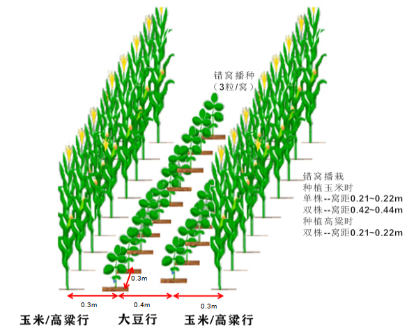 种植最新模式技术研究_最新的种植技术_最新种植模式和技术