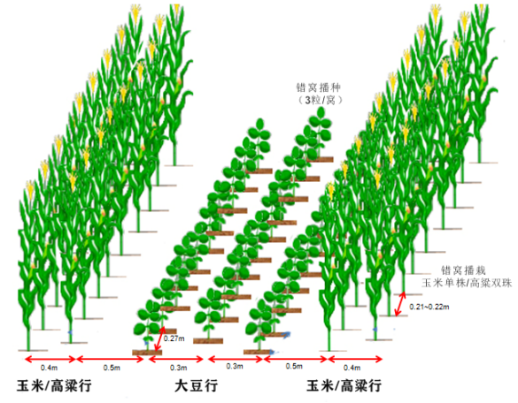 最新的种植技术_种植最新模式技术研究_最新种植模式和技术