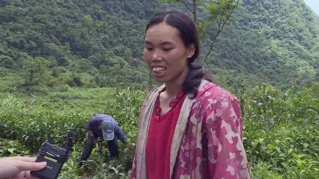 山区致富种植_山区种植项目_致富山区种植农作物