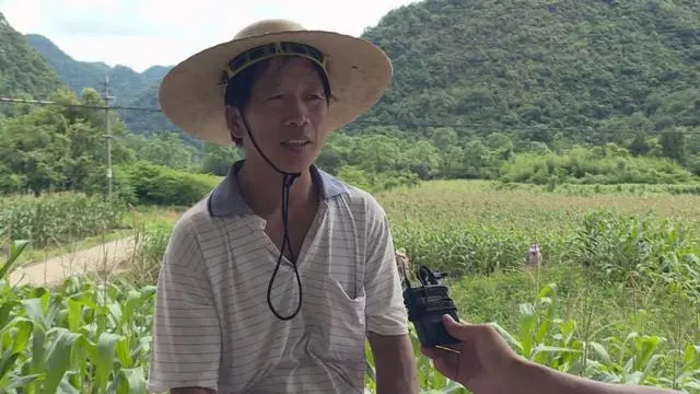 致富山区种植农作物_山区种植项目_山区致富种植