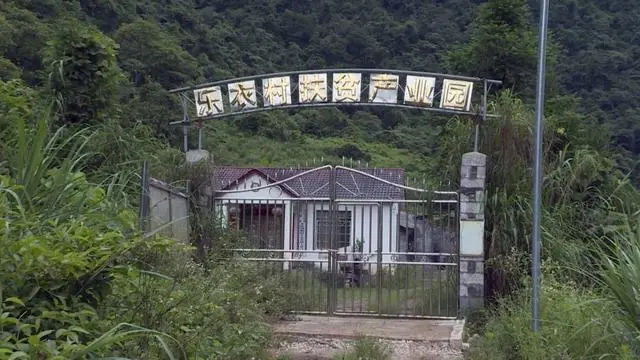 山区致富种植_致富山区种植农作物_山区种植项目