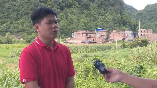 山区致富种植_山区种植项目_致富山区种植农作物