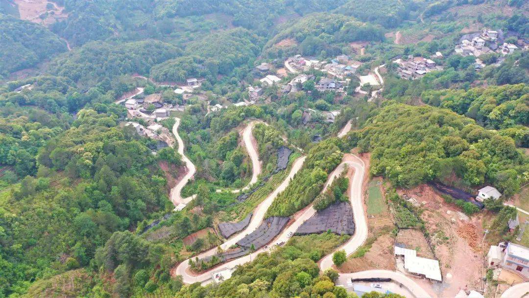 致富山区种植什么最好_山区致富种植_致富山区种植什么好