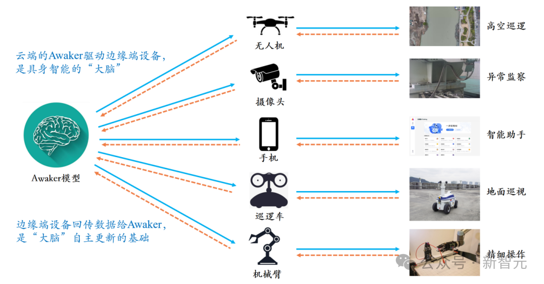 人工养殖青蛙技术视频_人工养殖青蛙技术视频_人工养殖青蛙技术视频