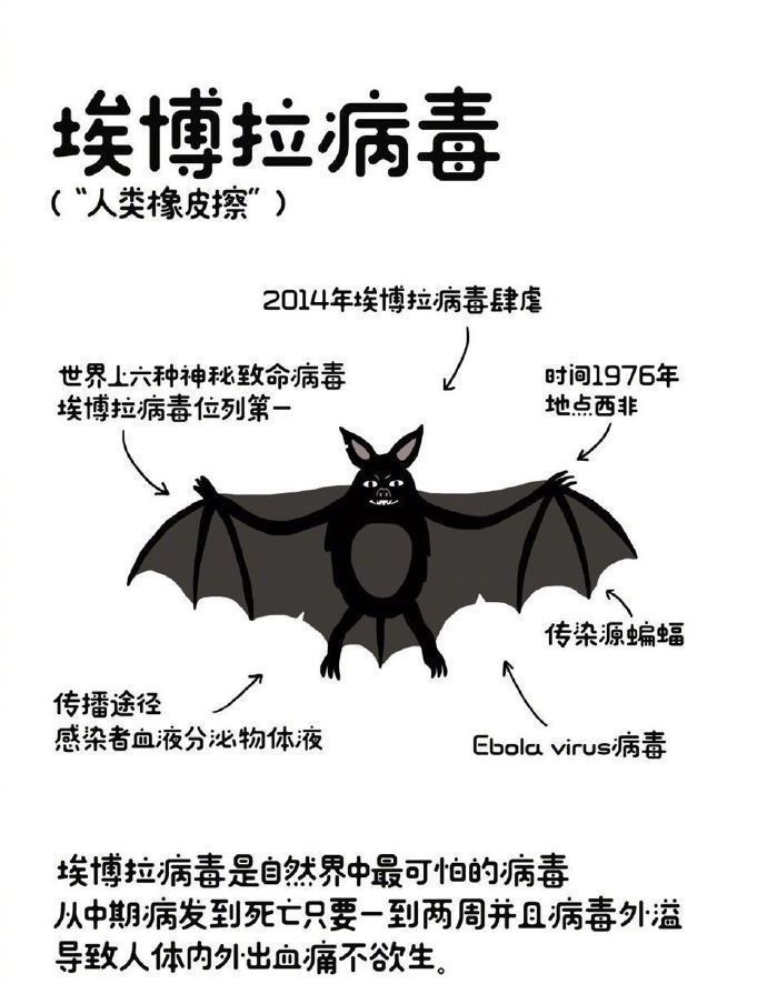 人工养殖青蛙技术视频_人工养殖青蛙技术视频_人工养殖青蛙技术视频