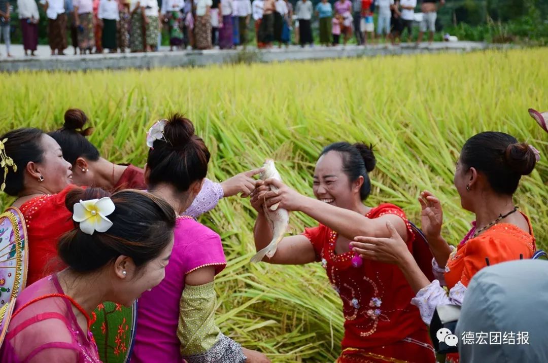 致富经养殖兔视频_致富养兔子_致富经兔子养殖视频