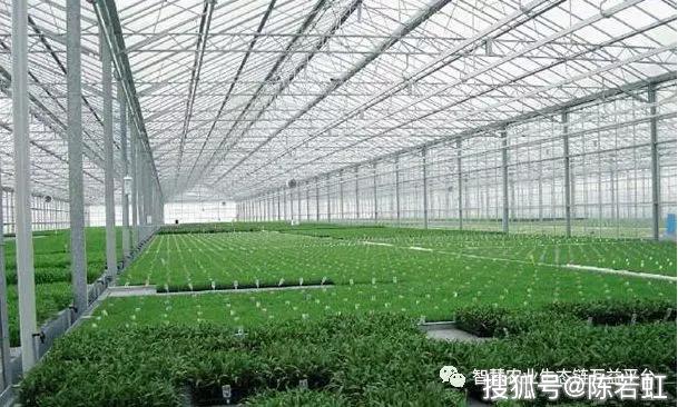 物联网在设施蔬菜大棚种植上的应用分析和探究