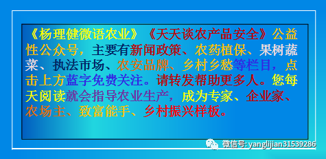 冷棚早春育苗好方法_早春冷棚种植技术_种植早春技术冷棚技术要求