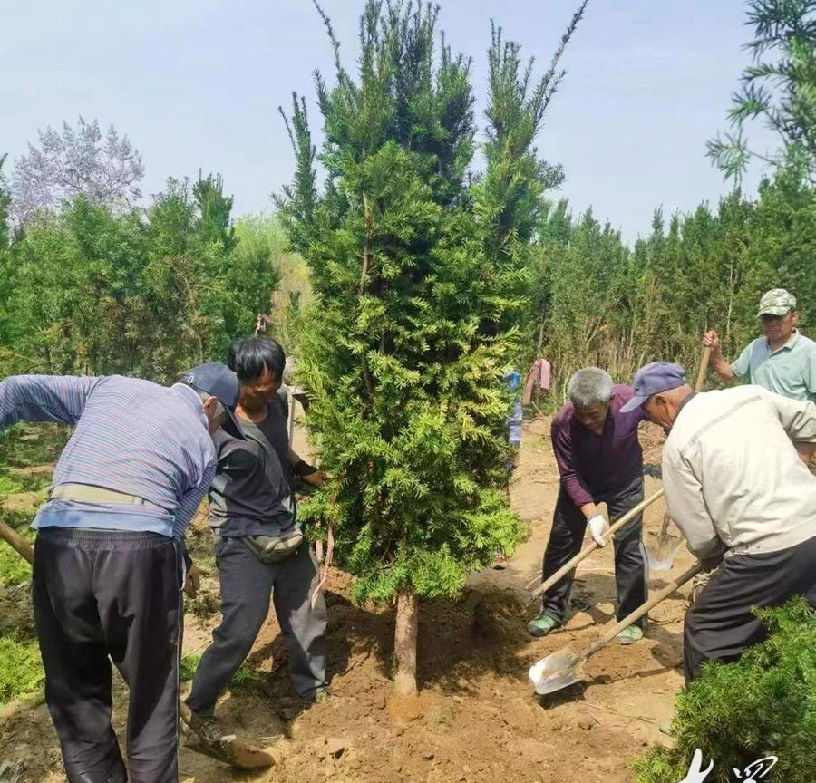 思考致富视频_致富小视频_致富经赢在未来视频