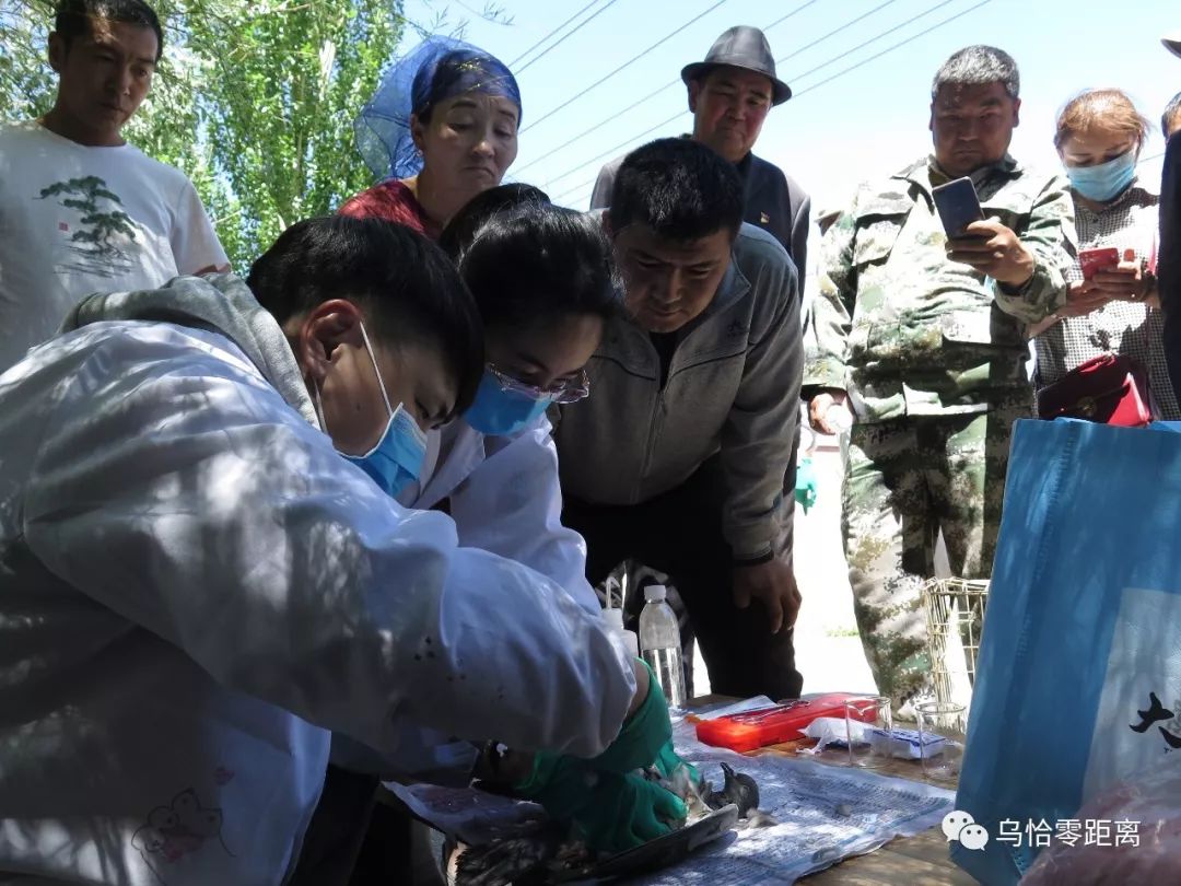 养殖致富经_养殖致富的笑话_致富养猪