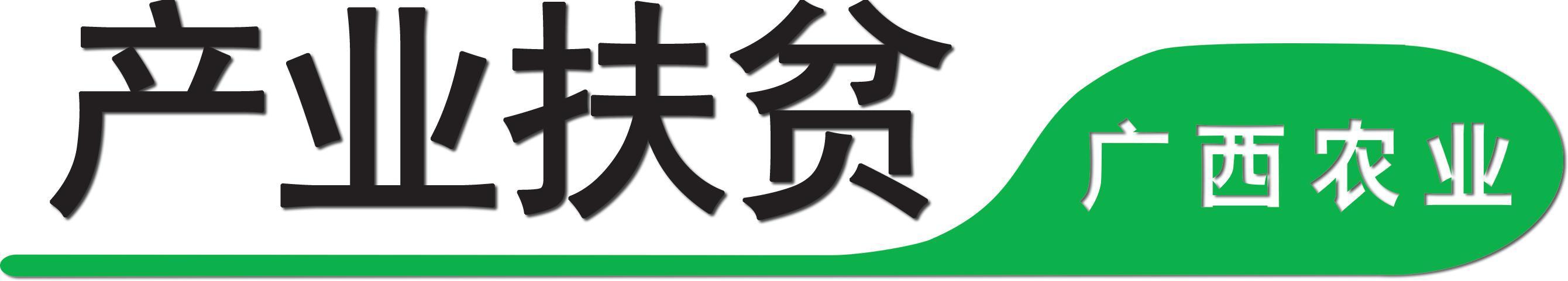 广西陆川：这位“鹅王”带领50户贫困户走出困境