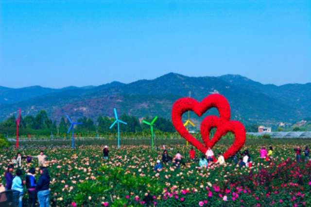 从化种植致富_从化有南种植果场_从化有机蔬菜种植基地