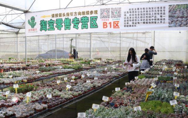 从化种植致富_从化有机蔬菜种植基地_从化有南种植果场