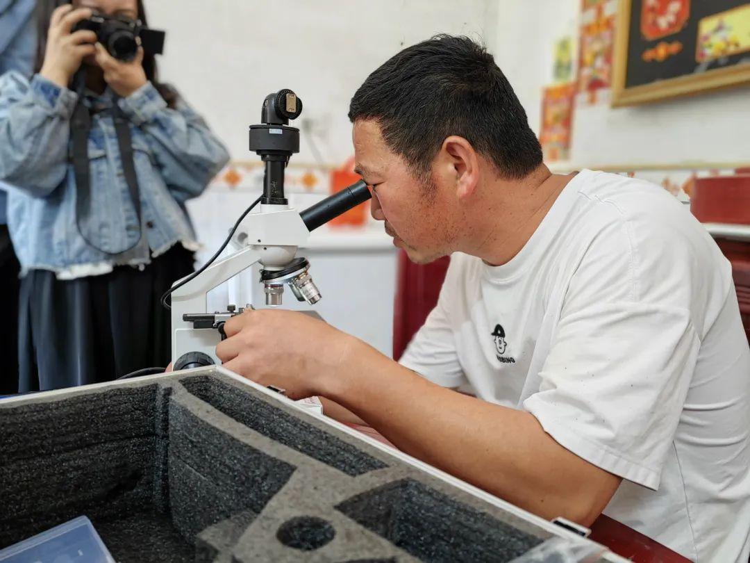 湖北孝感适合种植什么_湖北孝感种植致富_湖北致富项目