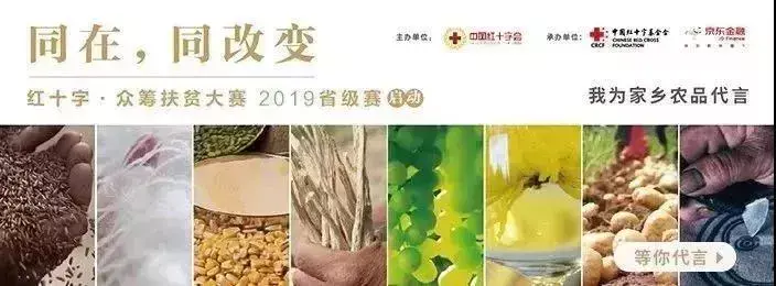 致富经养麻羊_致富经麻羊_麻羊养殖视频农广天地