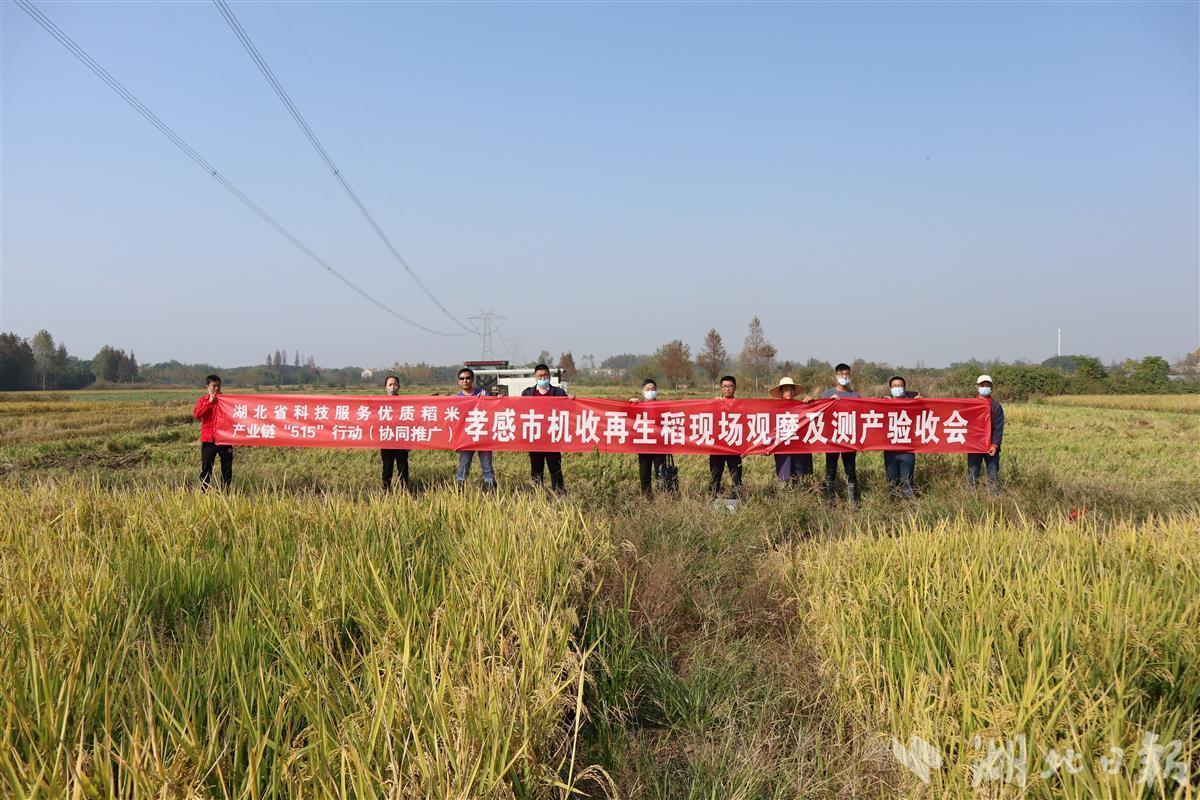 孝感适合种植经济作物_湖北孝感适合种植什么_湖北孝感种植致富