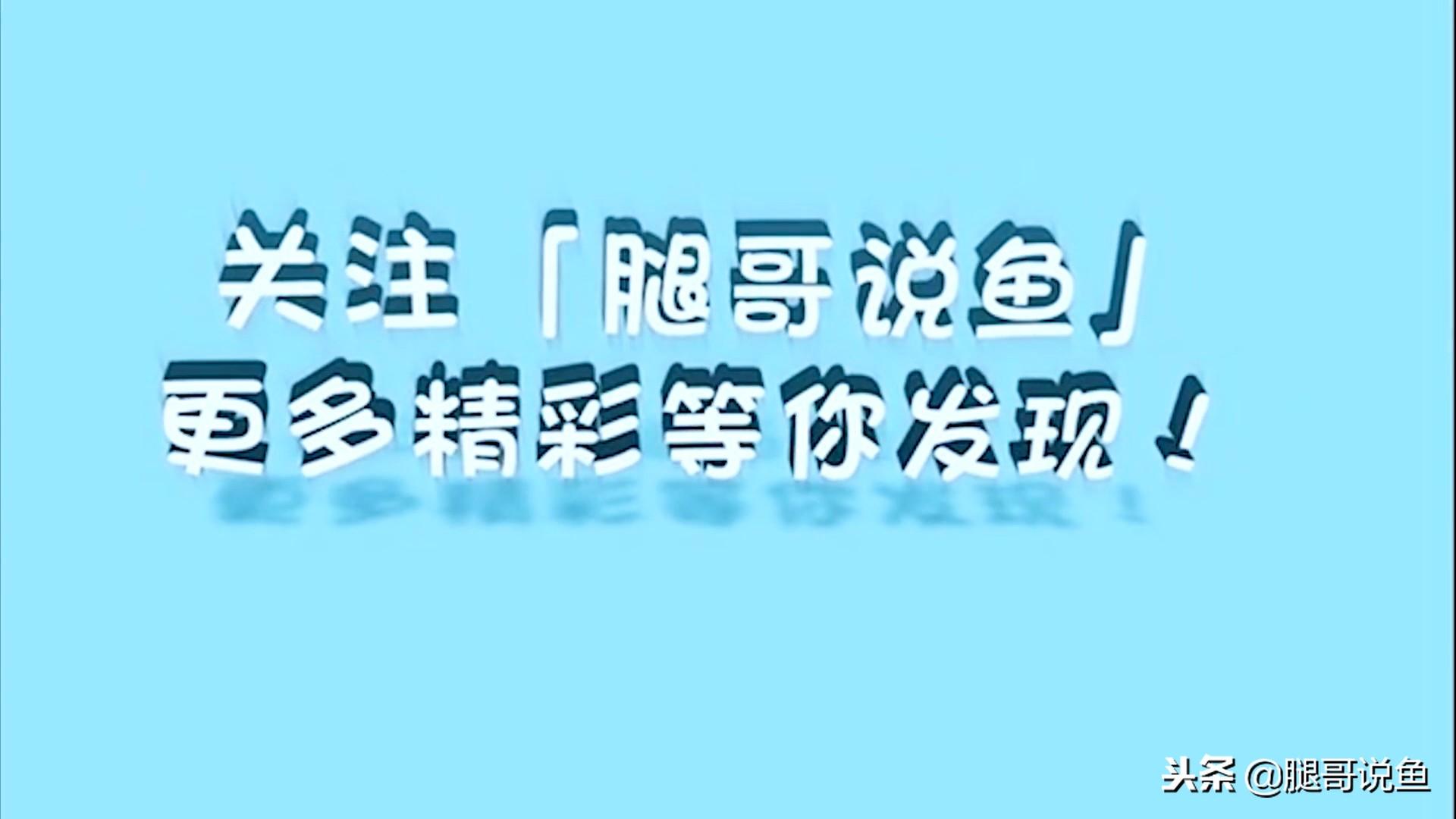 海水螃蟹怎么养活_海水螃蟹怎么养殖方法_海水蟹公寓养殖技术