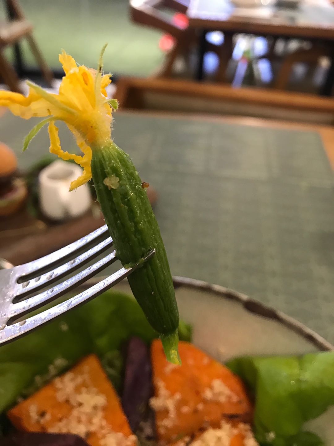 致富经水培蔬菜_水培蔬菜种植_水培蔬菜不挣钱