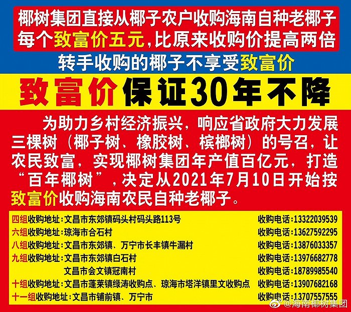 海南种槟榔的是不是有钱_海南槟榔种植致富_海南种植槟榔赚钱吗