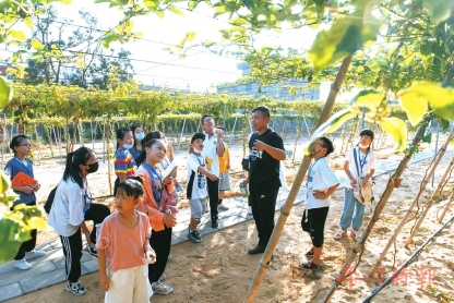 养殖基地迎来科普课　揭开白玉蜗牛的“生长密码”