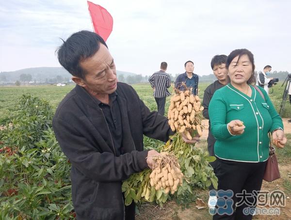 致富大户种植菱角图片_致富大户种植菱角怎么样_种植菱角致富大户