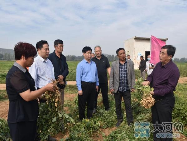 致富大户种植菱角怎么样_致富大户种植菱角图片_种植菱角致富大户