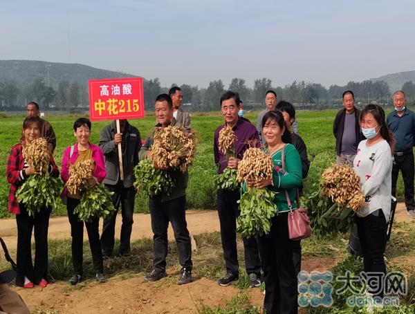 致富大户种植菱角怎么样_致富大户种植菱角图片_种植菱角致富大户