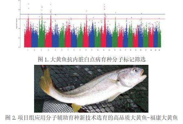 如何预算养殖效益_养殖效率_高效益养殖技术网