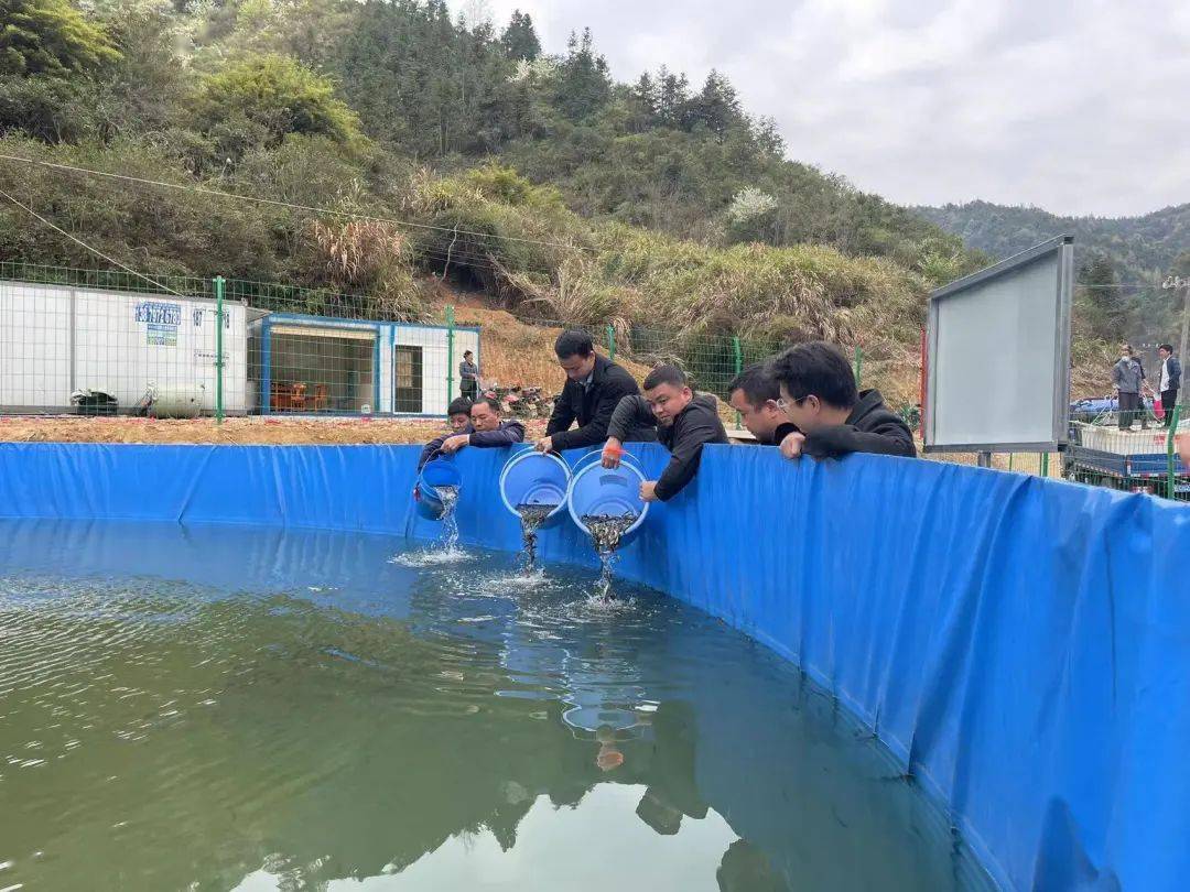 高效益养殖技术网_养殖场效益_养殖业取得效益的五大要素