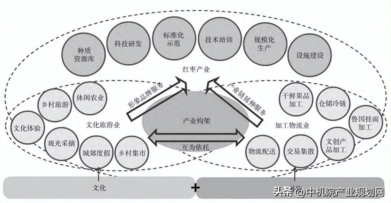 山西夏县鲁因村红枣产业升级规划研究