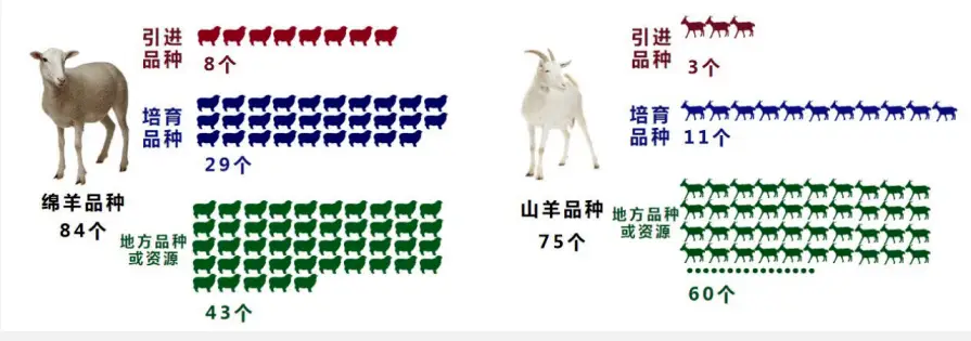 致富经散养羊视频全集_致富经养殖羊视频_视频致富全集散养羊是真的吗