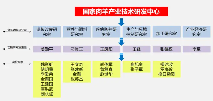 致富经养殖羊视频_视频致富全集散养羊是真的吗_致富经散养羊视频全集