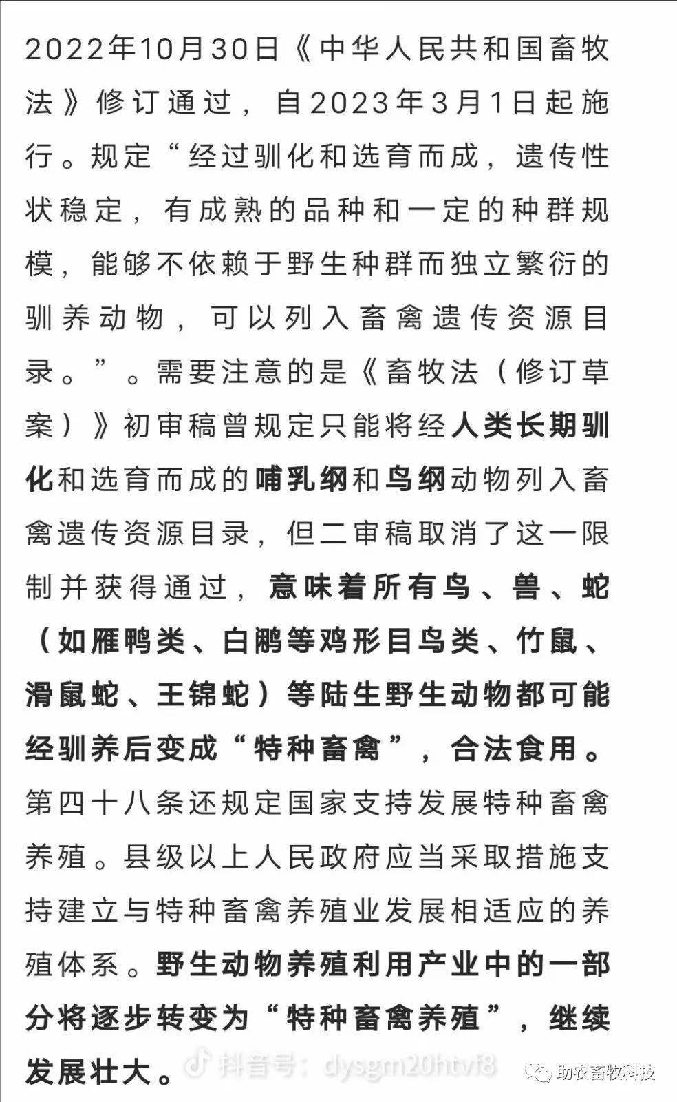 种植低成本高收益的牧草养殖竹鼠技术，亩产值高达75万