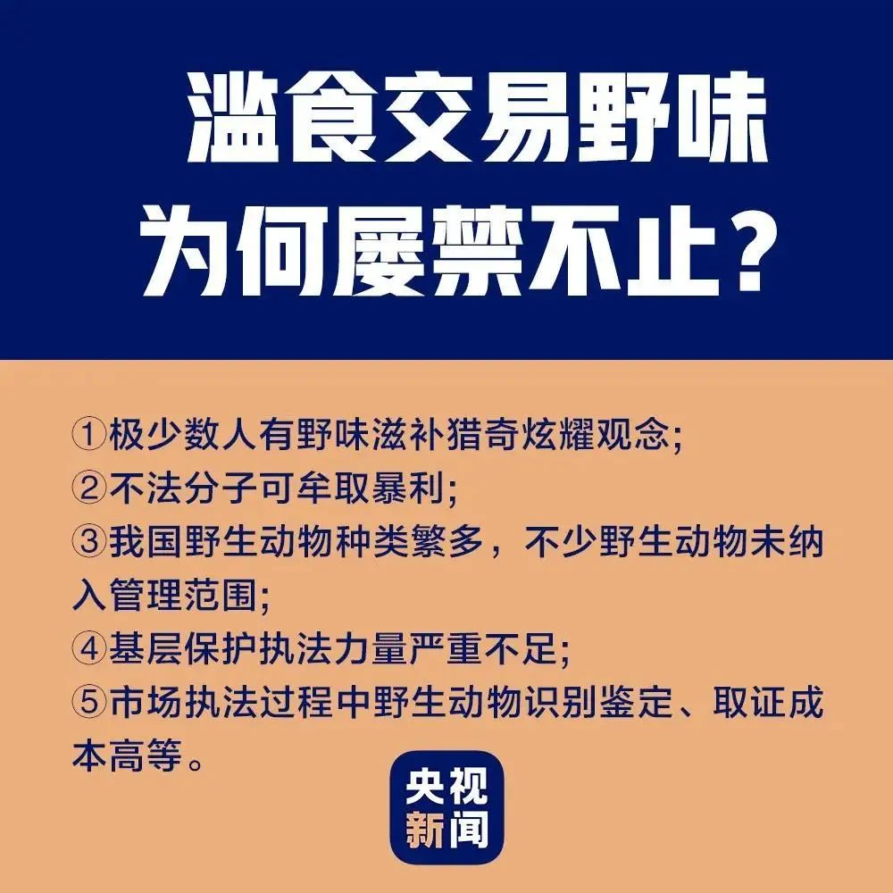 什么算是野生动物？养殖甲鱼、鳄鱼还能吃吗？必须了解清楚！