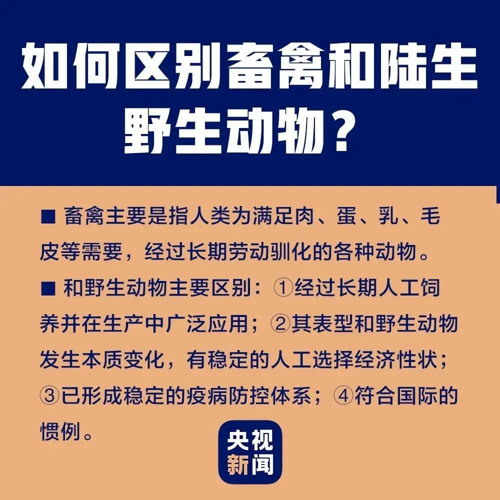 野生鲫鱼养殖技术_野生养殖鲫鱼技术与管理_养殖野生鲫鱼有市场前景吗