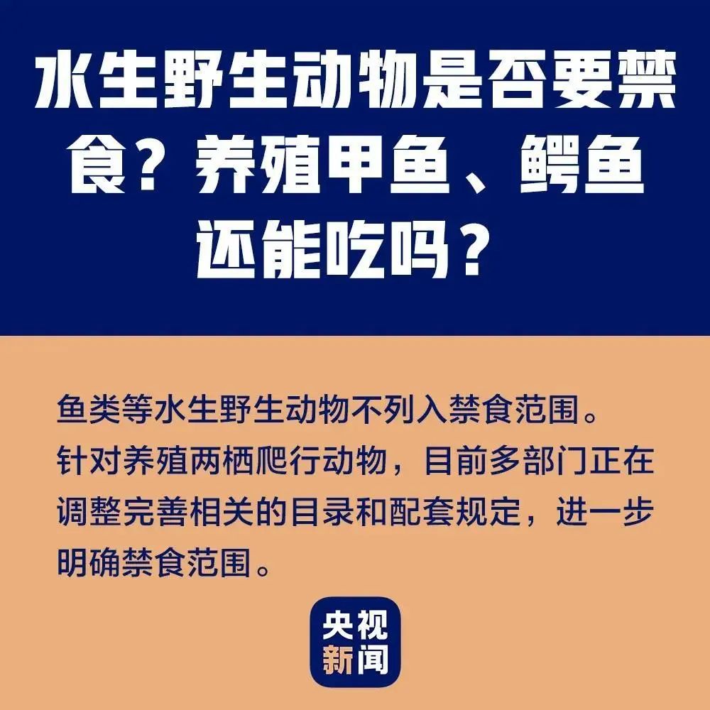 养殖野生鲫鱼有市场前景吗_野生鲫鱼养殖技术_野生养殖鲫鱼技术与管理