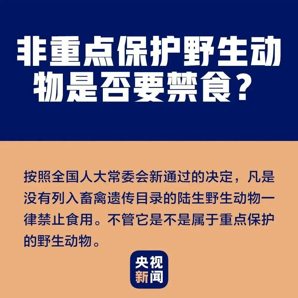 养殖野生鲫鱼有市场前景吗_野生养殖鲫鱼技术与管理_野生鲫鱼养殖技术