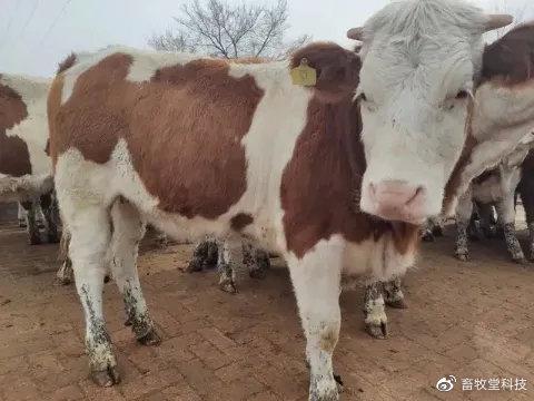 致富夏季养殖措施方案_夏季养殖致富措施_致富夏季养殖措施