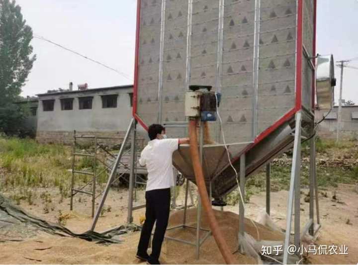 怎样让农民种粮食赚钱，又让大多数人买得起粮食?