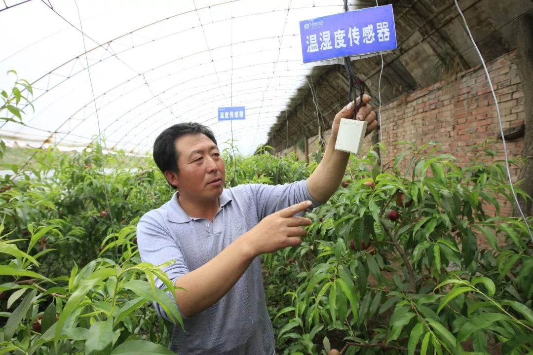 贵州大棚蔬菜基地_贵州温室大棚工程_贵州蔬菜种植温室大棚致富