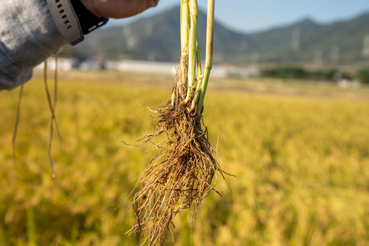 致富养殖好项目大全_致富养殖信息_深圳生物养殖致富