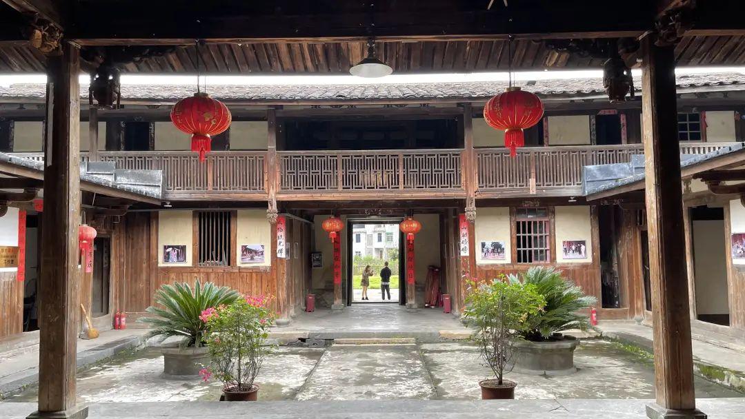 致富经种植山苍子视频_种植山苍子的前景_种植山苍子挣钱吗