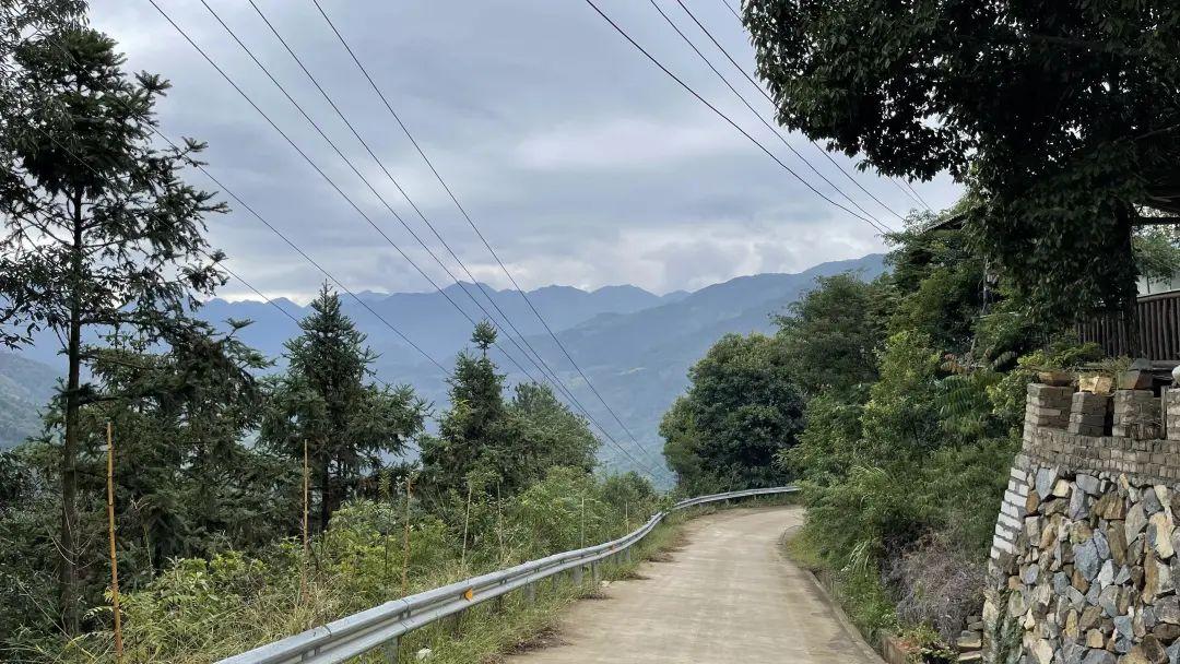 致富经种植山苍子视频_种植山苍子的前景_种植山苍子挣钱吗