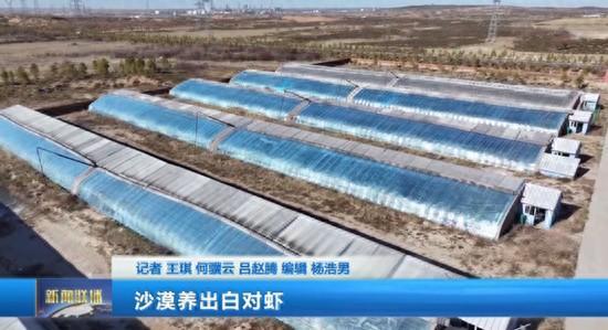 沙地没有海，为啥能养虾——“陆基圆池盐碱循环水模式”养殖南美白对虾，为什么大获成功？